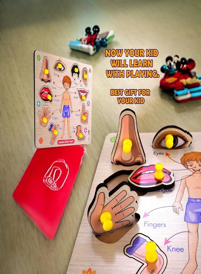 Stylbase Educational Toys Wooden Blocks Puzzle Kids Game | Interactive Learning Kids Toys for 2 - 5 Years Boy & Girls Toy Ideal for Birthday Gift (Human Body Parts) - Image 4